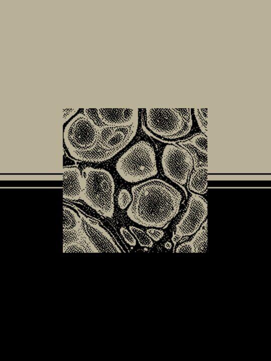 Portrait on Imagined Horizon