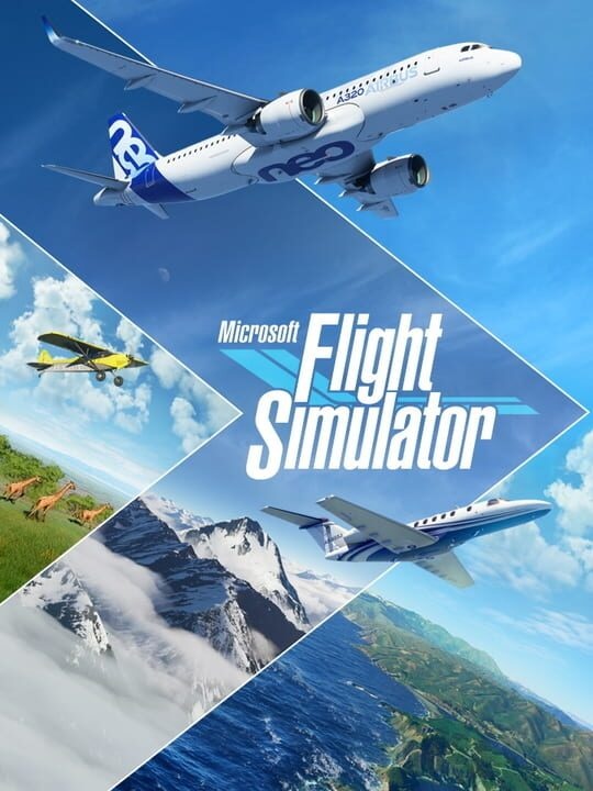 Microsoft Flight Simulator