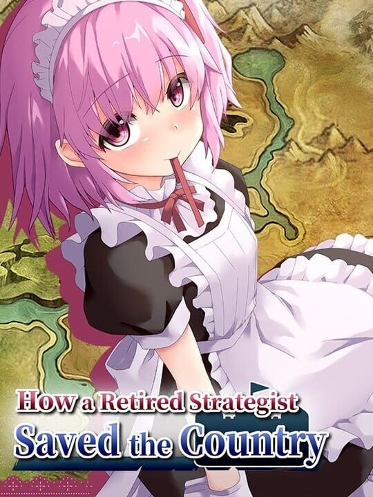 How a Retired Strategist Saved the Country