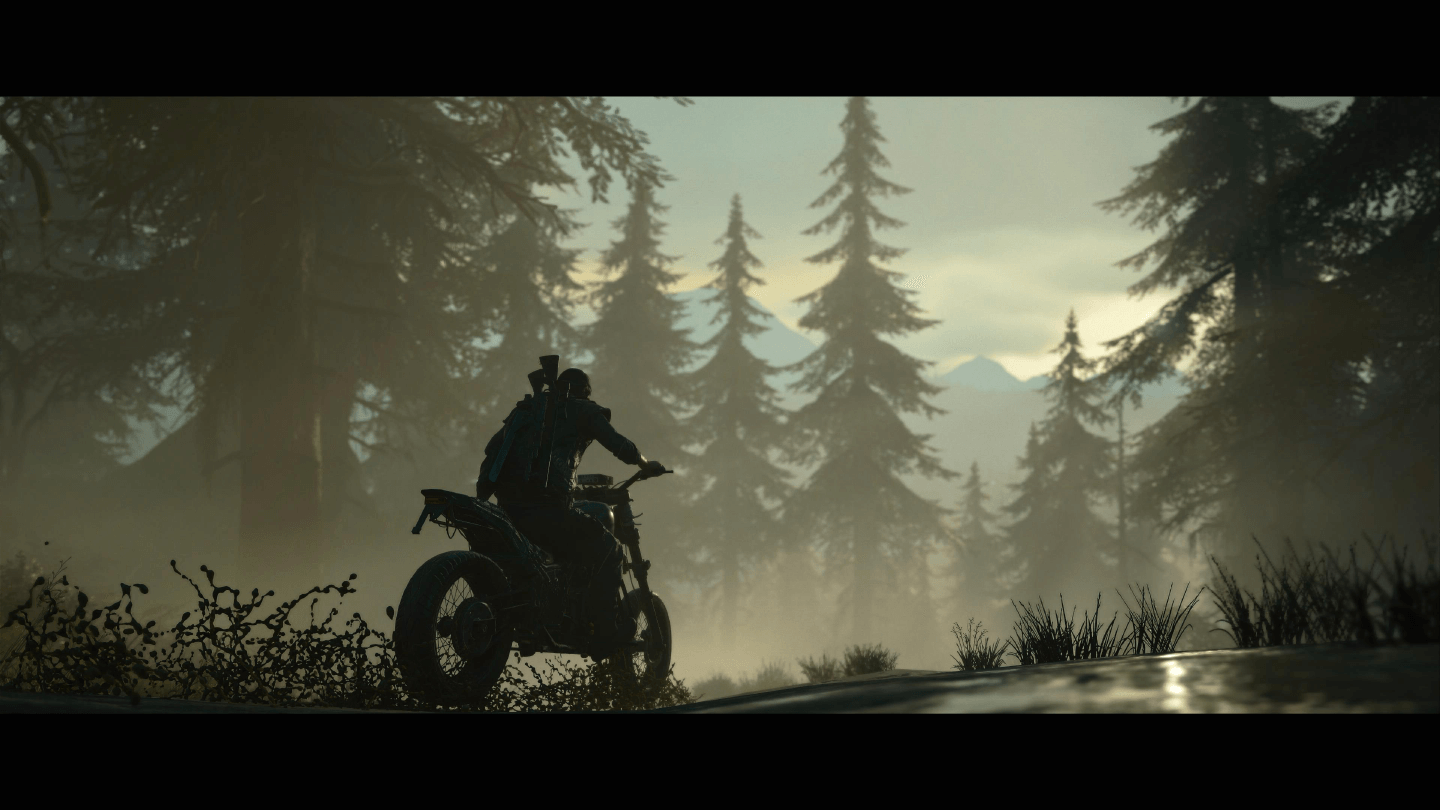 Days Gone by des essaims