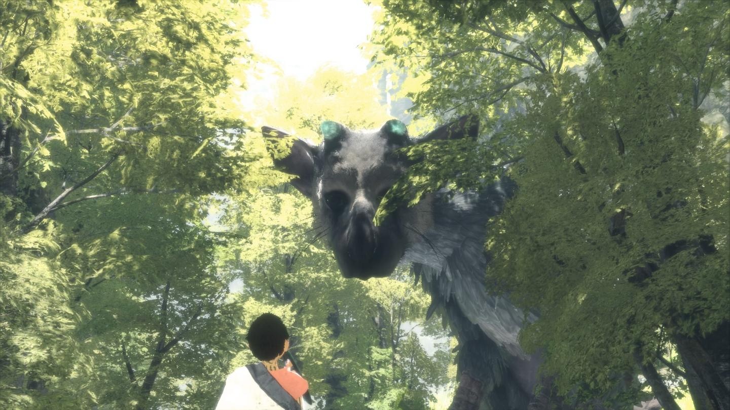 The Last Guardian by domo_demo
